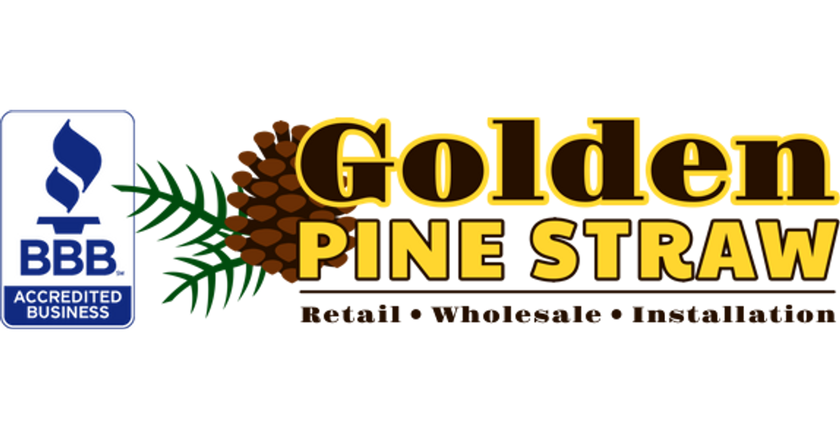 Golden Pine Straw
– Golden Pinestraw