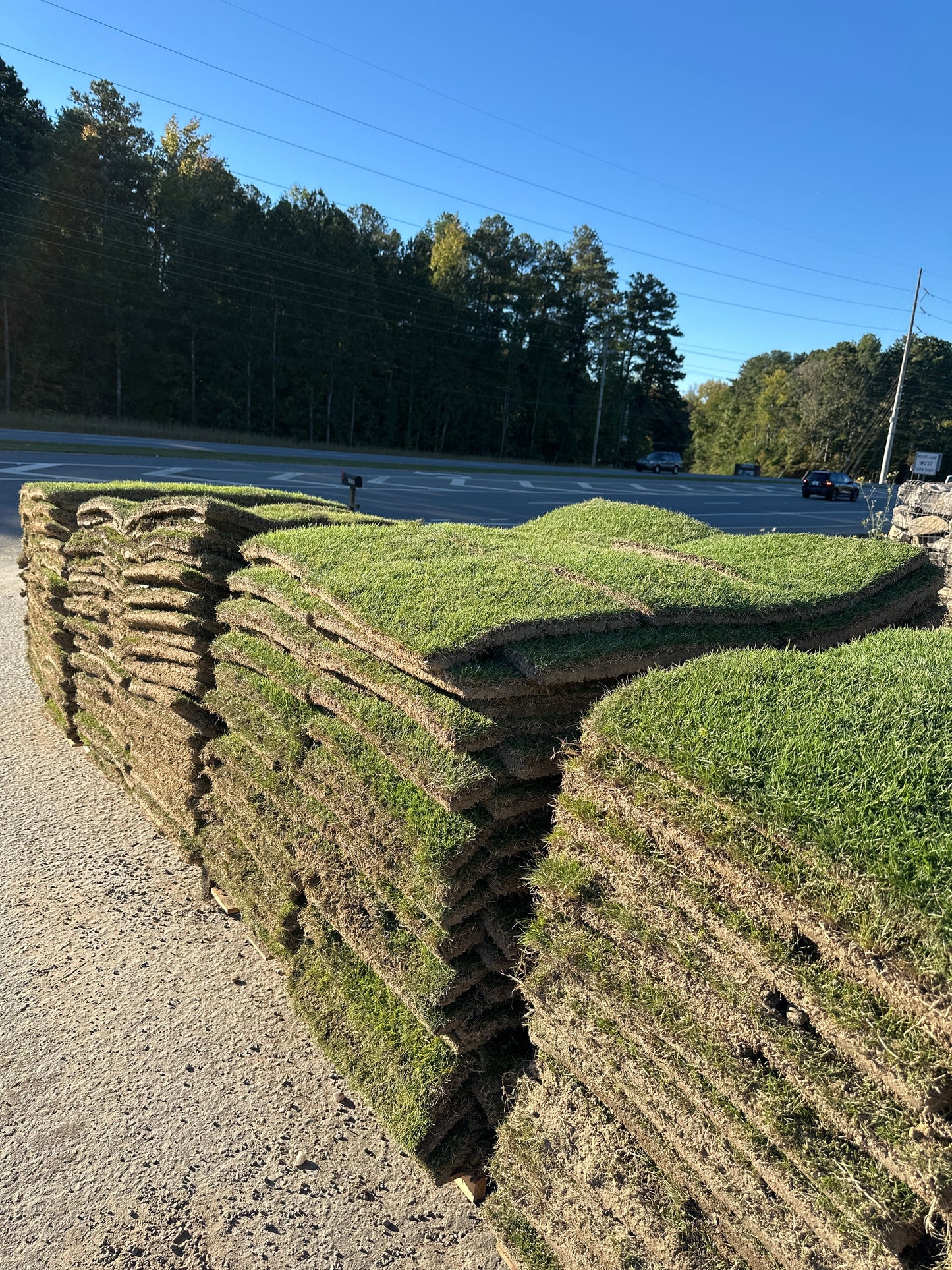 Zeon Zoysia |  450 sq ft | PER PALLET  (Pre-Paid Order) Delivery scheduled 3 days from your order date