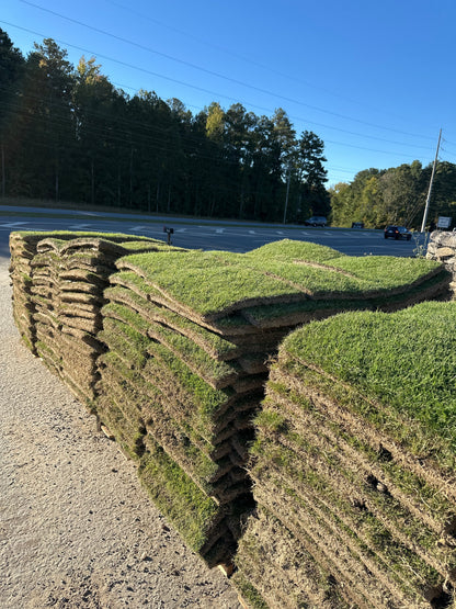 Zeon Zoysia |  450 sq ft | PER PALLET  (Pre-Paid Order) Delivery scheduled 3 days from your order date