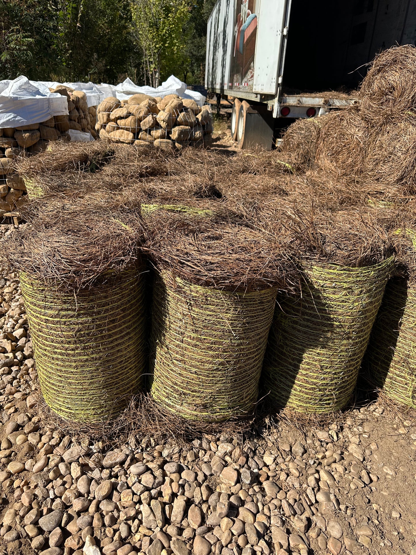 Longleaf Pine Straw Roll