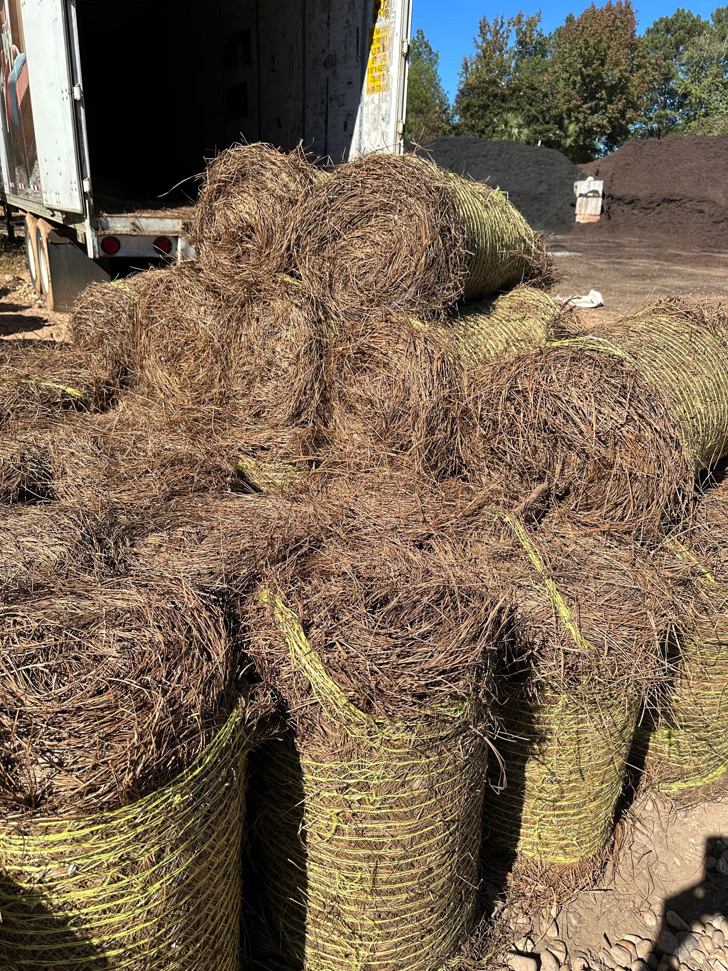 Longleaf Pine Straw Roll