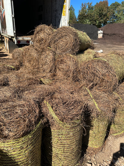 Longleaf Pine Straw Roll