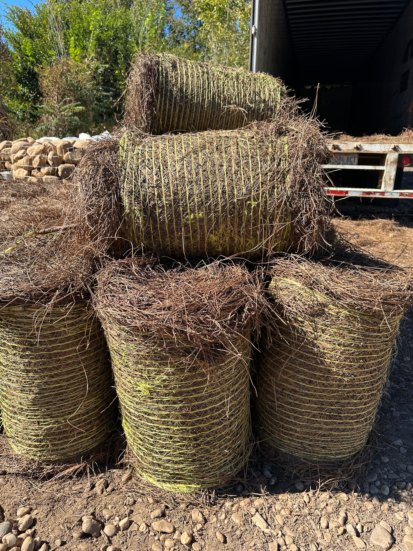 Longleaf Pine Straw Roll