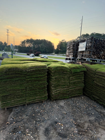 Bermuda Sod - True Sod (Pre-Paid Order) Delivery scheduled 3 days from your order date